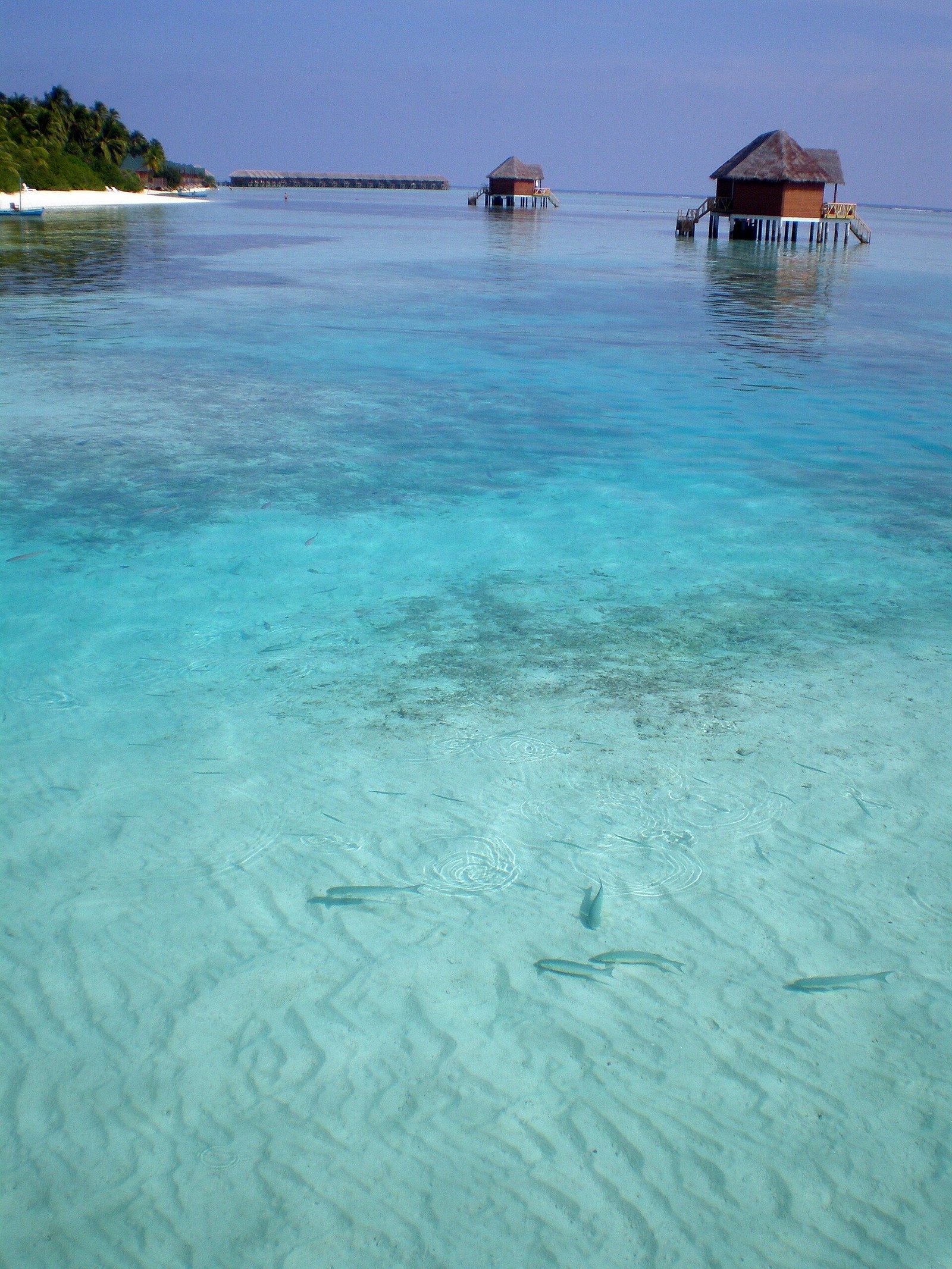 Maldives